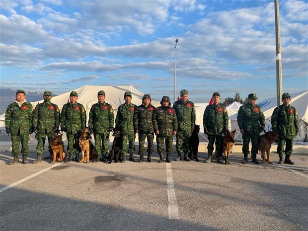 Vietnam’s search-and-rescue dogs work effectively in Turkey hinh anh 1