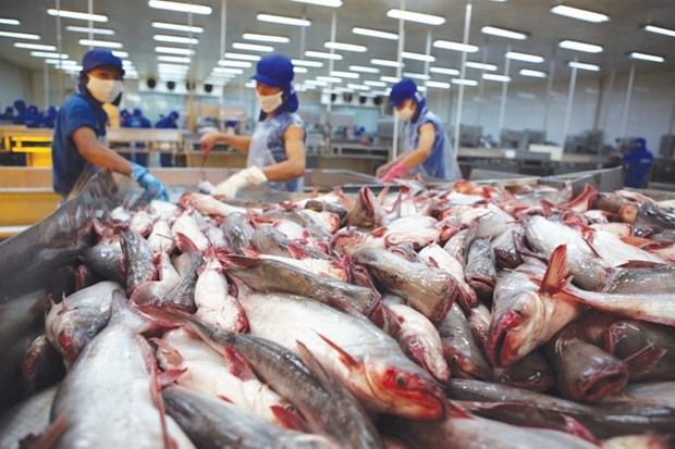 Bright prospect for tra fish exports in 2023 hinh anh 1