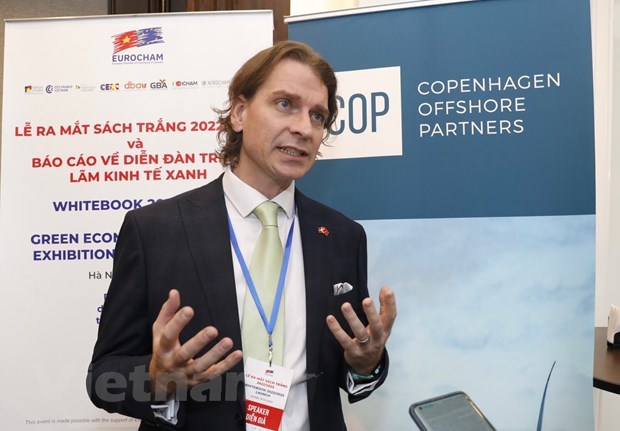 Offshore wind power fundamentals drive Vietnam’s green transition: project developer hinh anh 2
