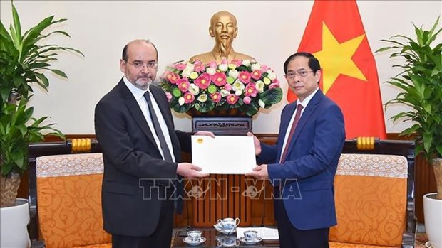 Foreign Minister: Vietnam ready to join post-quake reconstruction in Turkey hinh anh 1