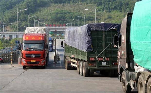 Vietnam-Yunnan province (China) trade ties below potential: Official hinh anh 1