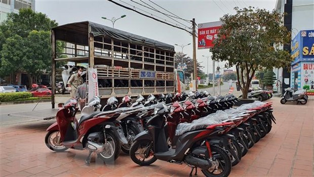Honda Vietnam sees sharp falls in bike, car sales hinh anh 1