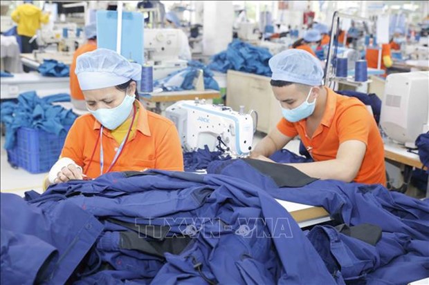 Apparel sector races to boost exports hinh anh 1