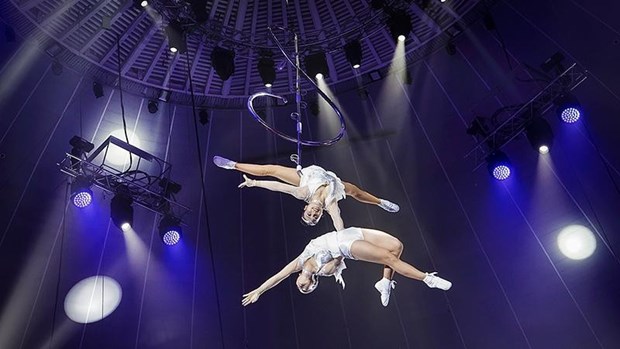 Artists help Vietnamese circus win global respect hinh anh 2