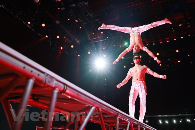 Artists help Vietnamese circus win global respect hinh anh 1