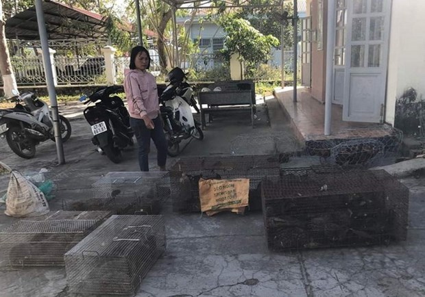 Woman caught red-handed trading, possessing wild animals hinh anh 1