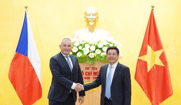 Great potential for Vietnam-Czech Republic cooperation: Minister hinh anh 1