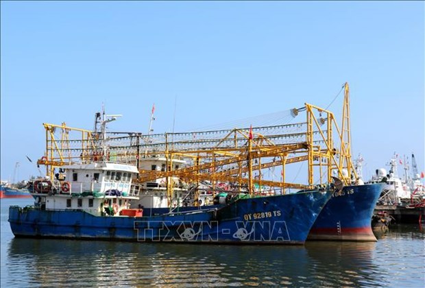 Quang Tri conducts peak crackdown on IUU fishing hinh anh 1