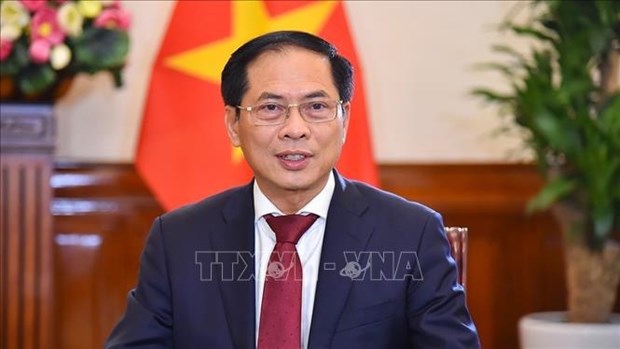 Minister of Foreign Affairs welcomes leader of China's Hainan province hinh anh 1