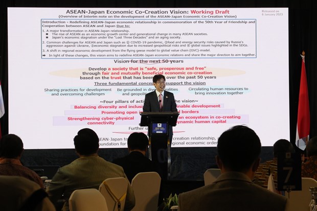 ASEAN, Japan look towards safe, prosperous society hinh anh 1