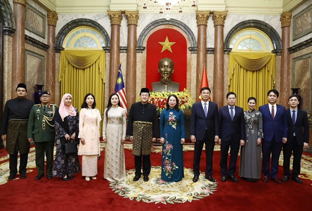 Acting President receives new Ambassadors of Switzerland, Malaysia, Cambodia hinh anh 2