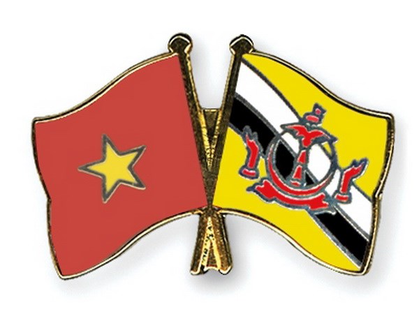 Leaders offer greetings to Brunei on National Day hinh anh 1