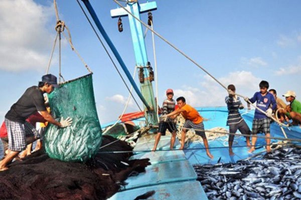 📝 OP-ED: Vietnamese coastal localities take long-term efforts to end IUU fishing hinh anh 4