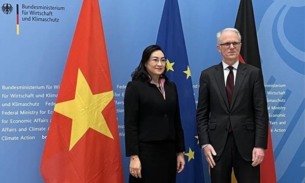 Vietnam, Germany joint committee discusses economic cooperation hinh anh 1