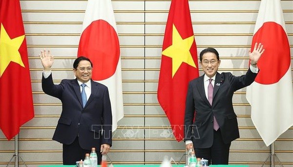 Vietnam, Japan enjoy strong connectivity: Deputy PM hinh anh 2