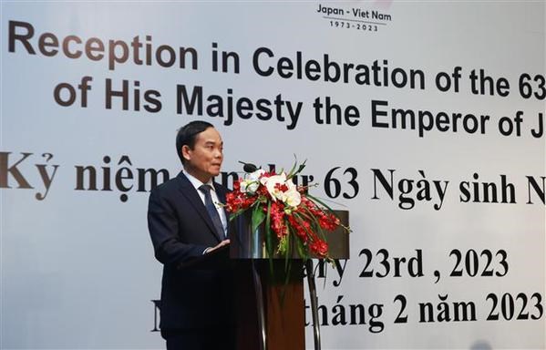 Vietnam, Japan enjoy strong connectivity: Deputy PM hinh anh 1
