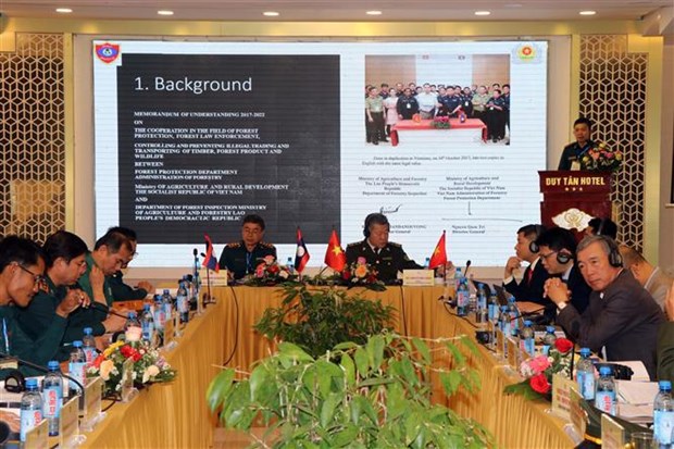 Vietnam, Laos enhance cooperation in forest protection hinh anh 1