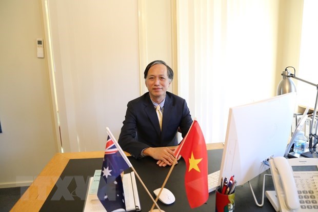 Vietnam, Australia build increasingly comprehensive, equal, reliable relations: Ambassador hinh anh 2