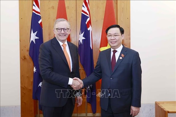 Vietnam, Australia build increasingly comprehensive, equal, reliable relations: Ambassador hinh anh 1