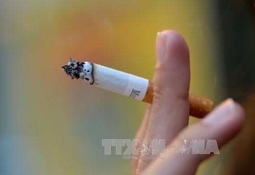 Ministry proposes a hike in special consumption tax on cigarettes, beer, spirits hinh anh 1
