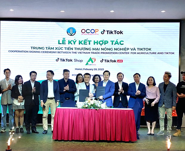 Trade promotion centre, TikTok boost digital transformation among OCOP stakeholders hinh anh 1