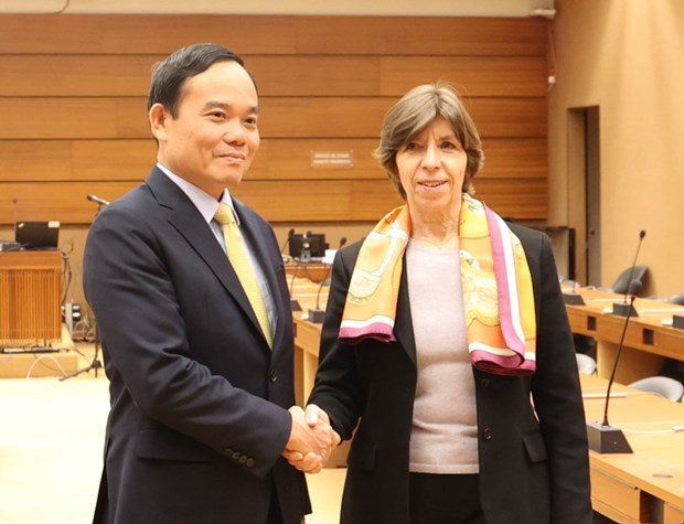 Deputy PM meets leaders of int’l organisations, foreign officials in Geneva hinh anh 2