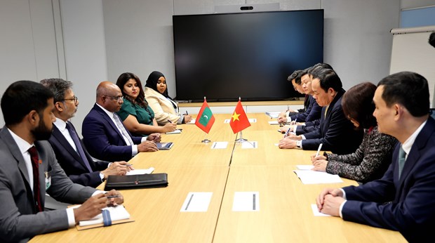 Deputy PM meets leaders of int’l organisations, foreign officials in Geneva hinh anh 3