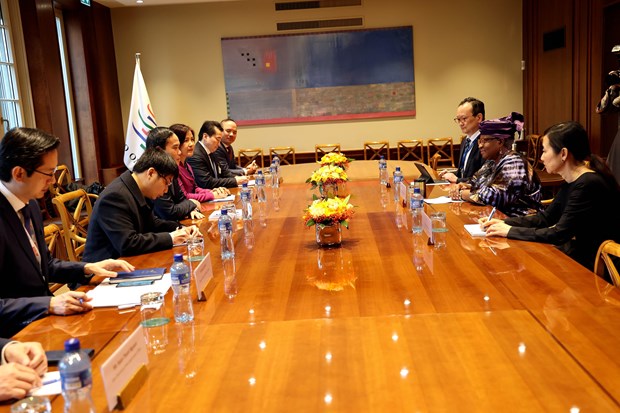 Deputy PM meets leaders of int’l organisations, foreign officials in Geneva hinh anh 4