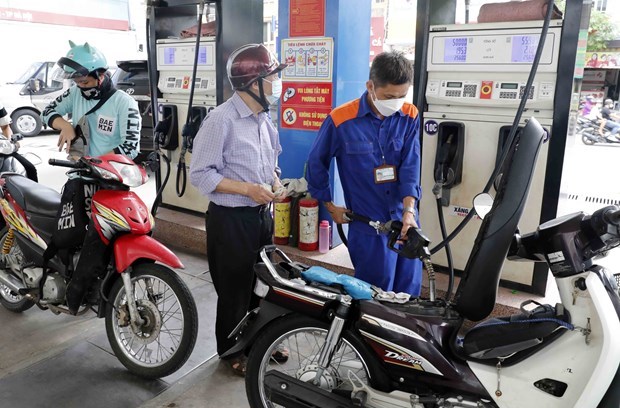 Petrol prices revised down slightly hinh anh 1