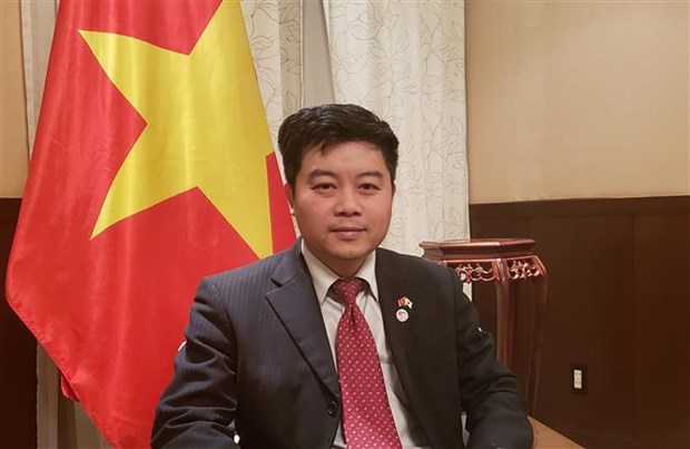 Vietnam supports Japan’s initiatives towards net zero emissions: diplomat hinh anh 2