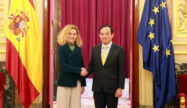 Vietnam willing to join Spain in elevating strategic partnership: Deputy PM hinh anh 1