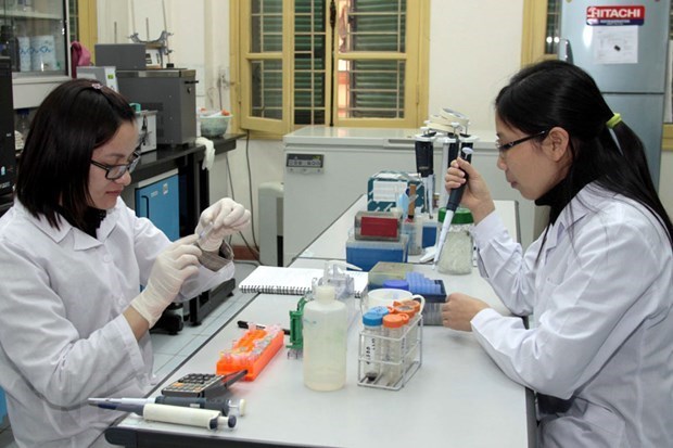 Vietnam, South Africa foster cooperation in training, scientific research hinh anh 1