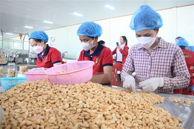 Binh Phuoc enjoys trade surplus of 220 mln USD in first two months hinh anh 1