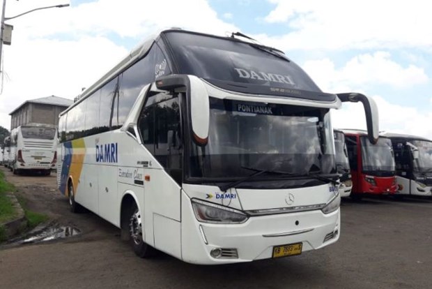 Indonesia resumes bus services to Brunei hinh anh 1