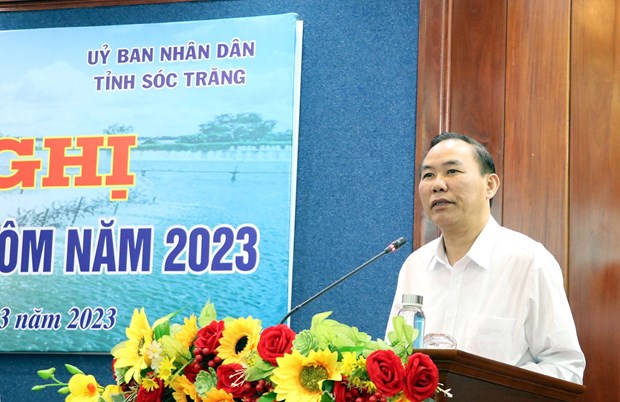Measures sought to boost Mekong Delta shrimp sector growth hinh anh 1