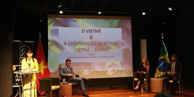 Embassy helps connect Vietnamese enterprises with Brazilian ones hinh anh 1