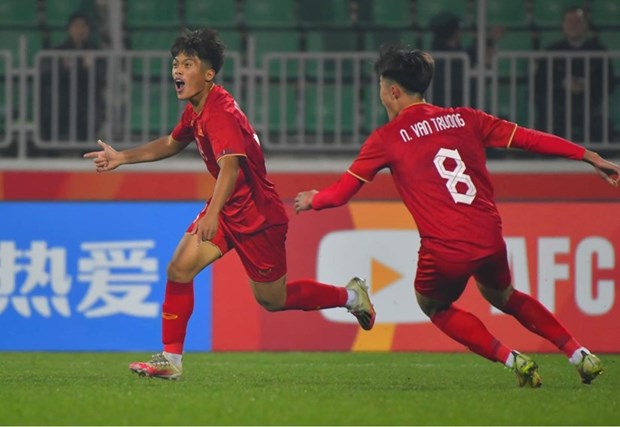 Football: Vietnam beat Qatar U20 Asian Cup hinh anh 2