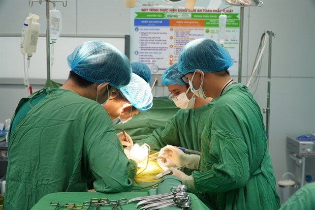 HCM City hospitals develop organ procurement, transplantation network hinh anh 1