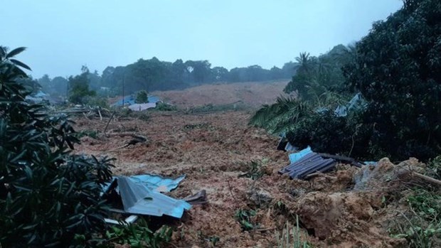 At least 10 killed in landslide in western Indonesia hinh anh 1