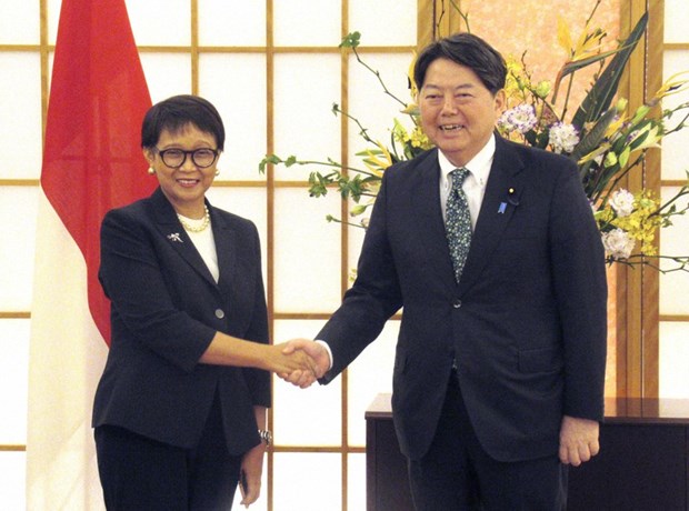 Indonesia, Japan enhance cooperation, investment hinh anh 1