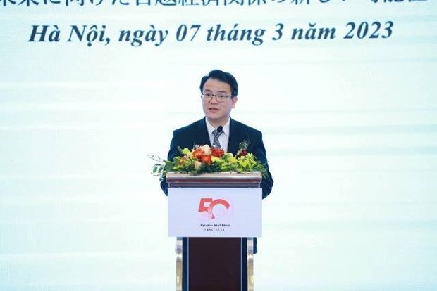 Vietnam, Japan should foster ties in development cooperation: official hinh anh 1
