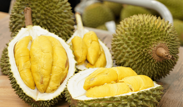 China approves 246 Vietnamese durian growing area codes hinh anh 1