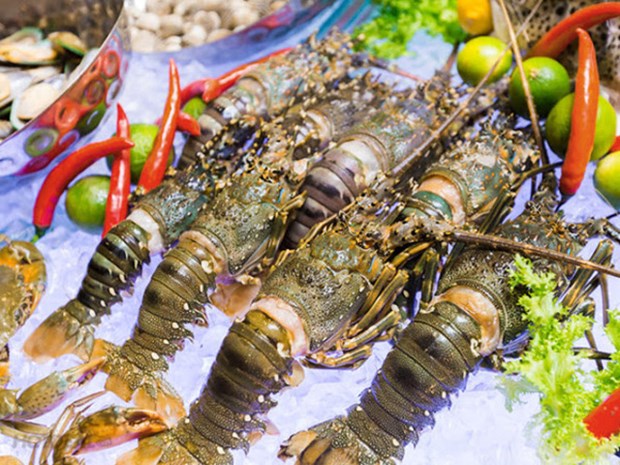 Chinese market favours Vietnamese lobster but prices are rocky hinh anh 1