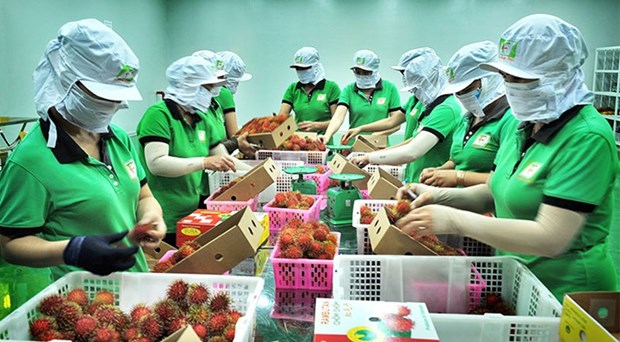 Vietnam, China seek to boost agro-aquatic product trade hinh anh 2