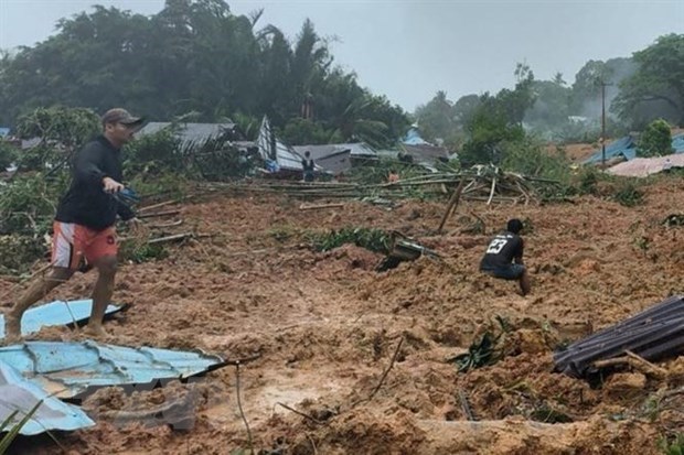 Indonesia steps up efforts to find dozens missing in landslide hinh anh 1
