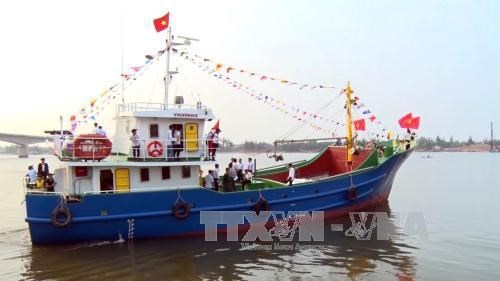 Quang Tri province focuses on combating IUU fishing hinh anh 1