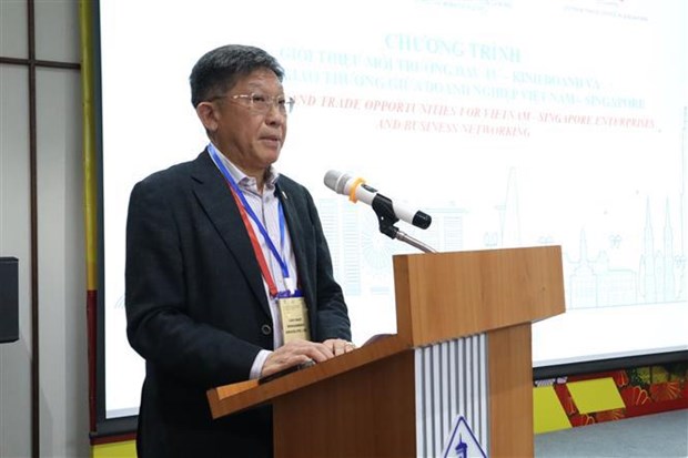 Vietnam emerges as attractive market for Singapore firms hinh anh 2