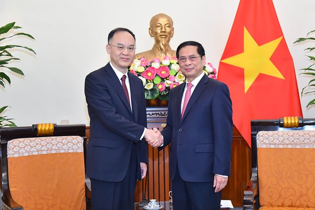 Leaders of Ministry of Foreign Affairs receive, hold talks with Chinese official hinh anh 1