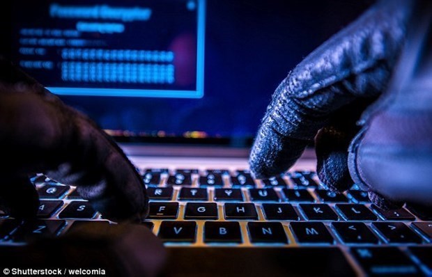 More than 1,600 cyber attacks handled in February hinh anh 1