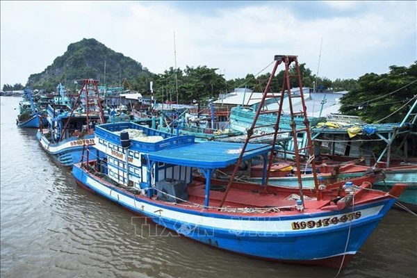 Localities fighting IUU fishing with strong determination hinh anh 1